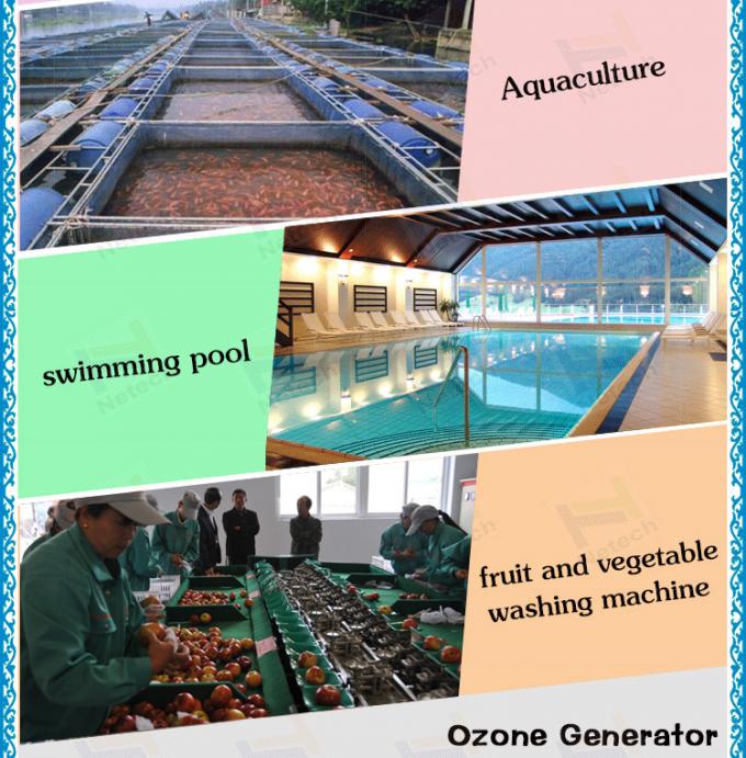 5g 10g 30g 산업 물 처리 산업 오존 발전기 살균 장비