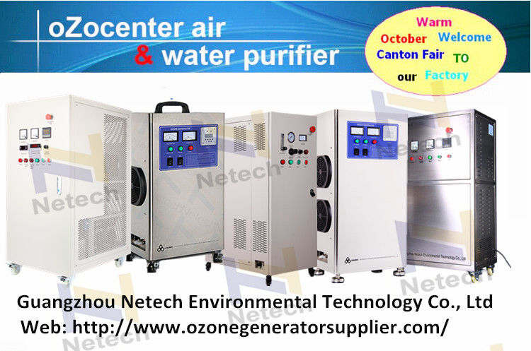 SS Housing Ozone Generator Water Purification In Sewage Water Treatment 10g - 60g
