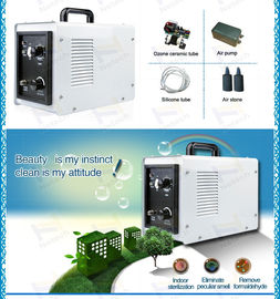 Karaoke Club 5g Hotel Clean Air Ozone Generator For Water And Air Treatment